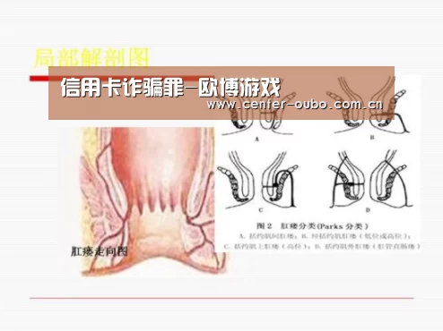 信用卡诈骗罪-欧博游戏(图2) 欧博官网