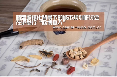 新型城镇化背景下的城市规划研讨会在沪举行“欧博登入”(图1) 欧博游戏