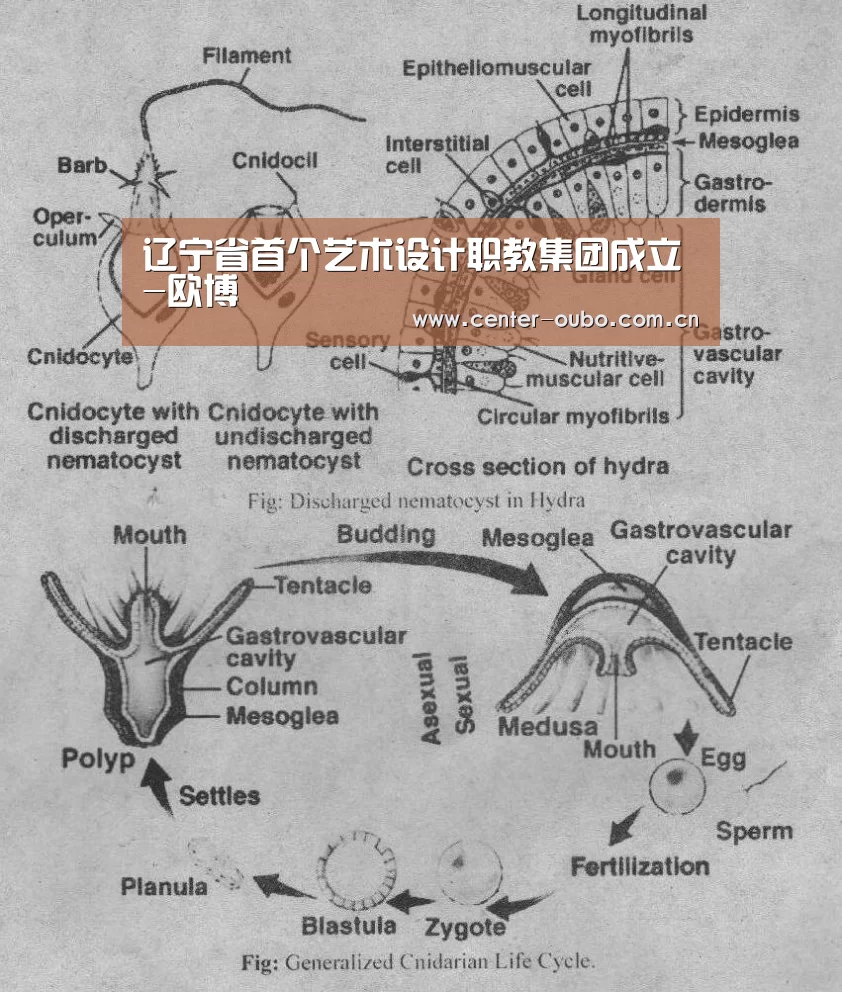 辽宁省首个艺术设计职教集团成立-欧博(图2) 欧博登入